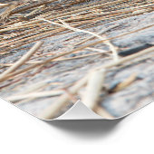 Junge Löwe Poster (Ecke)