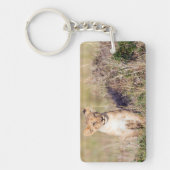 Junge Löwe Schlüsselanhänger (Vorderseite)