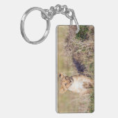 Junge Löwe Schlüsselanhänger (Vorderseite links)