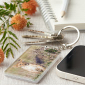 Junge Löwe Schlüsselanhänger (Vorderseite rechts)