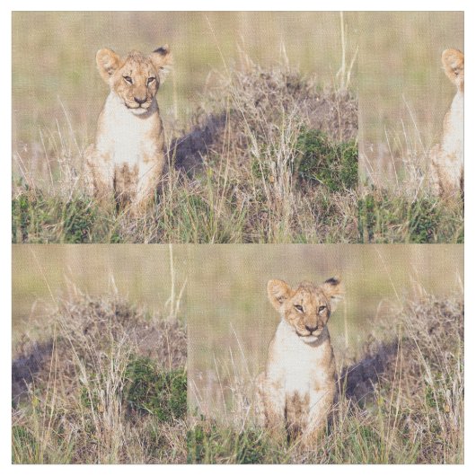 Junge Löwe Stoff (Nahaufnahme)
