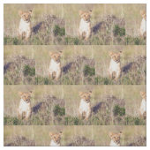 Junge Löwe Stoff (Muster)