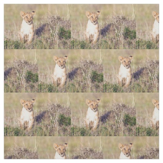 Junge Löwe Stoff (Muster)