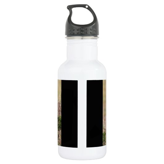 Junge Löwe Trinkflasche (Rückseite)