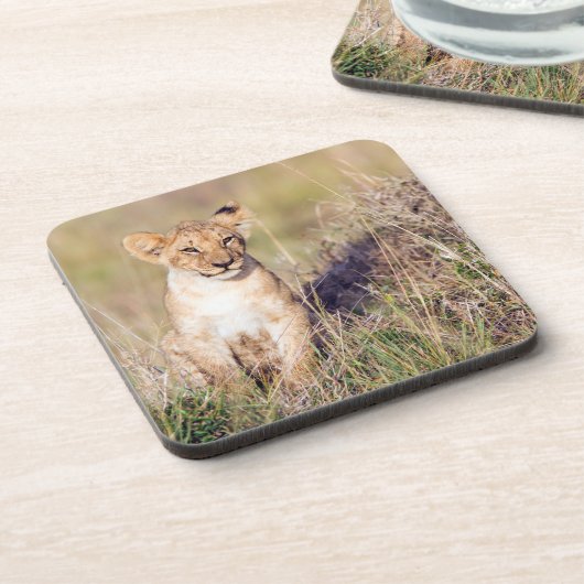 Junge Löwe Untersetzer (Linke Seite)