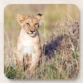 Junge Löwe Untersetzer (Vorderseite)