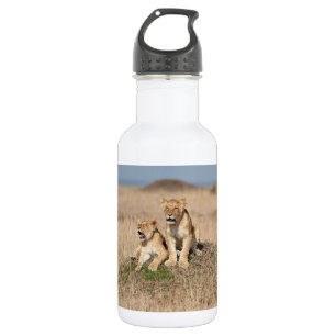 Junge Löwen Edelstahlflasche