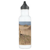 Junge Löwen Edelstahlflasche (Rechts)