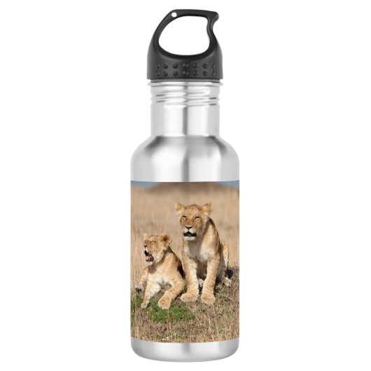 Junge Löwen Edelstahlflasche (Vorderseite)