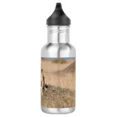 Junge Löwen Edelstahlflasche (Rechts)