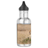 Junge Löwen Edelstahlflasche (Links)