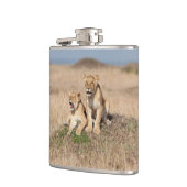 Junge Löwen Flachmann (Links)