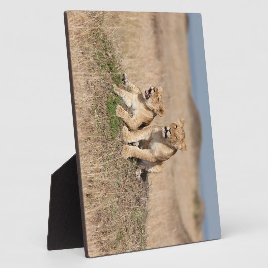 Junge Löwen Fotoplatte (Seite)