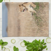 Junge Löwen Geschirrtuch (Gefaltet)