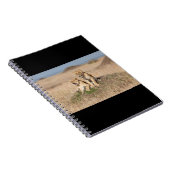 Junge Löwen Notizblock (Rechte Seite)