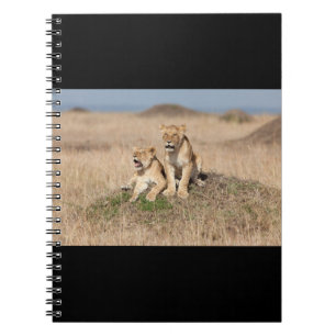 Junge Löwen Notizblock