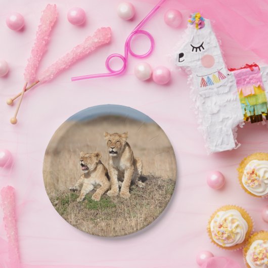 Junge Löwen Pappteller (Party)
