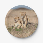 Junge Löwen Pappteller (Vorderseite)