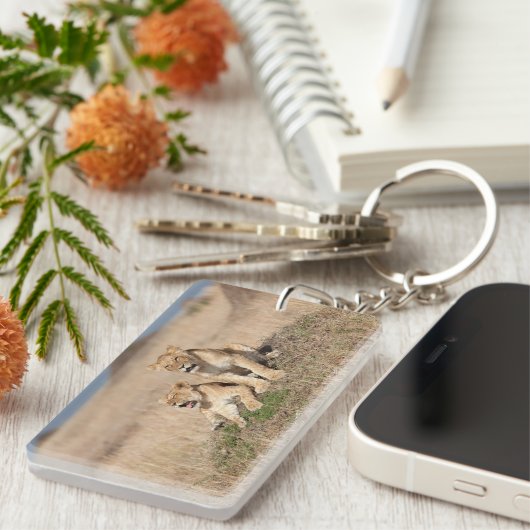 Junge Löwen Schlüsselanhänger (Vorderseite rechts)