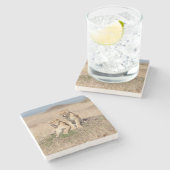 Junge Löwen Steinuntersetzer (Seitenansicht)