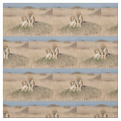 Junge Löwen Stoff (Muster)