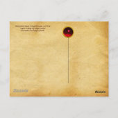 JUNGE MÄDCHEN, ANTIQUE VINEYARD GRAPEN UND WEIN POSTKARTE (Rückseite)