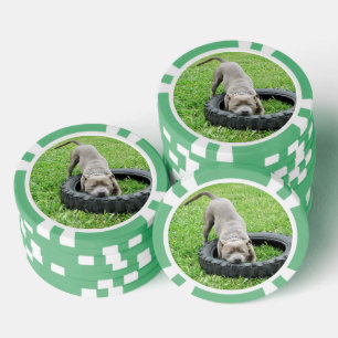 Junge männliche Gestalt, die mit seinem Reif spiel Pokerchips