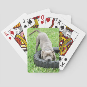 Junge männliche Gestalt, die mit seinem Reif spiel Spielkarten