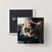 Junge männliche Tabby-Katze 2 Button (Vorne & Hinten)