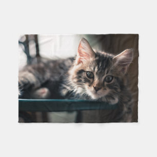 Junge männliche Tabby-Katze 2 Fleecedecke