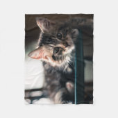 Junge männliche Tabby-Katze 2 Fleecedecke (Vorderseite)