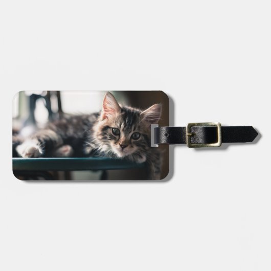 Junge männliche Tabby-Katze 2 Gepäckanhänger (Vorderseite horizontal)