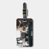 Junge männliche Tabby-Katze 2 Gepäckanhänger (Vorderseite vertikal)