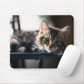 Junge männliche Tabby-Katze 2 Mousepad (Mit Mouse)