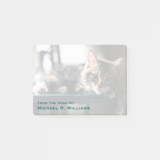 Junge männliche Tabby-Katze 2 Post-it Klebezettel (Vorderseite)