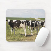 Junge Milchrinder in Weiden Mousepad (Mit Mouse)