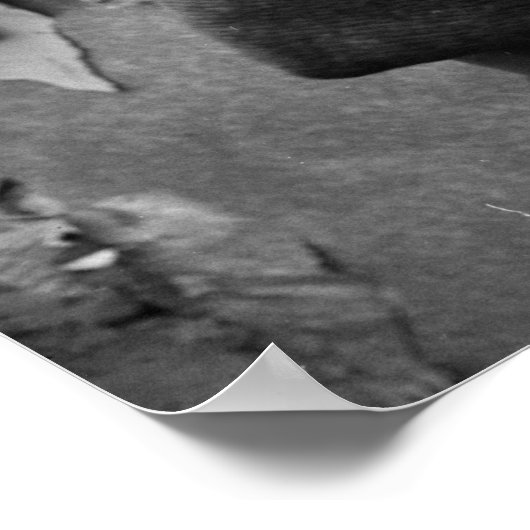 Junge mit ausgestopftem Tier, 1945 Poster (Ecke)