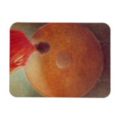 Junge Mönche mit Gong Magnet (Horizontal)