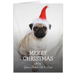 Junge Mops mit Weihnachtsmannmütze