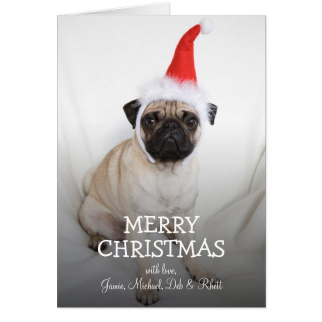 Junge Mops mit Weihnachtsmannmütze (Vorne)