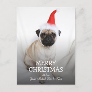 Junge Mops mit Weihnachtsmannmütze Feiertagspostkarte
