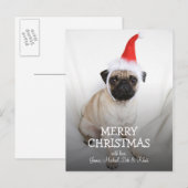 Junge Mops mit Weihnachtsmannmütze Feiertagspostkarte (Vorne/Hinten)