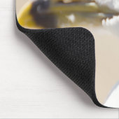 Junge Möve Mousepad (Ecke)