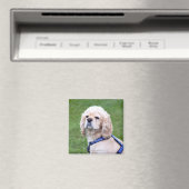 Junge niedliche Hunde posieren. Magnet (In Situ (Geschirrspüler))
