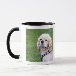 Junge niedliche Hundeaufstellung Tasse