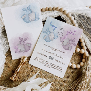 Junge oder Mädchen Elefant rosa blaues Geschlecht Einladung