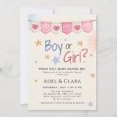 Junge oder Mädchen Geschlechtsenthüllungs-Einladun Einladung (Vorderseite)