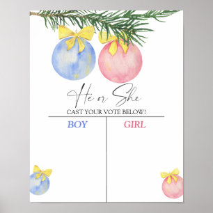 Junge oder Mädchen wir wissen, Geschlecht enthüllt Poster