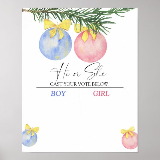 Junge oder Mädchen wir wissen, Geschlecht enthüllt Poster (Vorne)