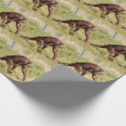 Junge Orang-Utan auf Gras Geschenkpapier (Ecke)